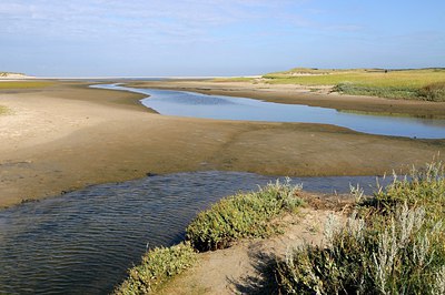 BUITEN BEELD Foto: 277995