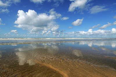 BUITEN BEELD Foto: 278009