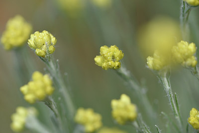 BUITEN BEELD Foto: 278046