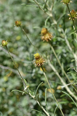 BUITEN BEELD Foto: 278058