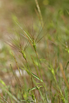 BUITEN BEELD Foto: 278061