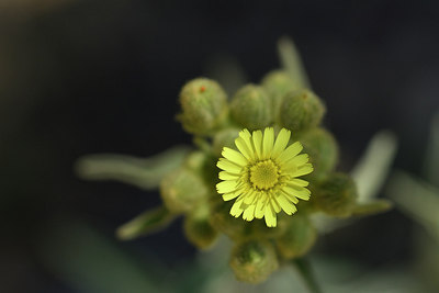 BUITEN BEELD Foto: 278062