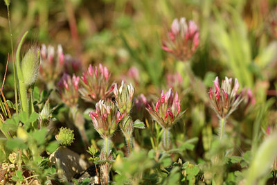 BUITEN BEELD Foto: 278064