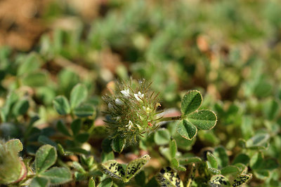 BUITEN BEELD Foto: 278066