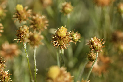 BUITEN BEELD Foto: 278069