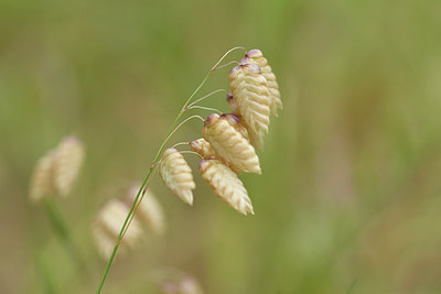 BUITEN BEELD Foto: 278193