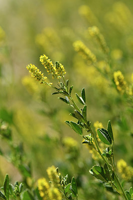 BUITEN BEELD Foto: 278212