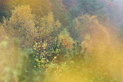 BUITEN BEELD Foto: 278223