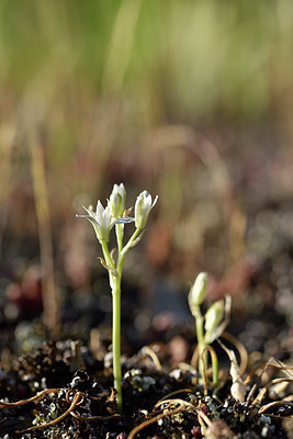 BUITEN BEELD Foto: 278229