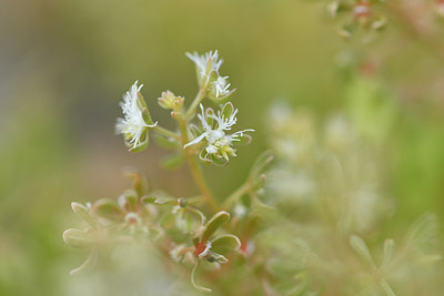 BUITEN BEELD Foto: 278230