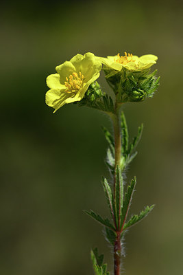 BUITEN BEELD Foto: 278231
