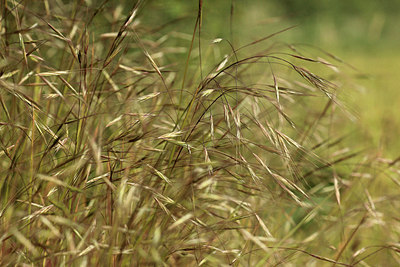 BUITEN BEELD Foto: 278266