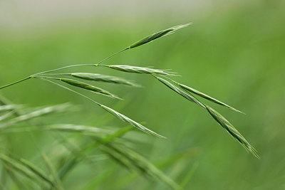 BUITEN BEELD Foto: 278267