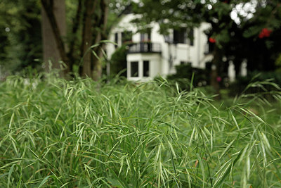 BUITEN BEELD Foto: 278268