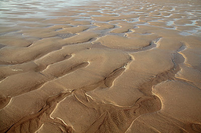 BUITEN BEELD Foto: 278284