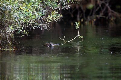 BUITEN BEELD Foto: 278371