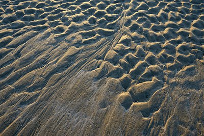 BUITEN BEELD Foto: 278400