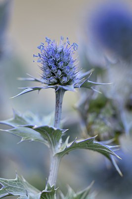 BUITEN BEELD Foto: 278406