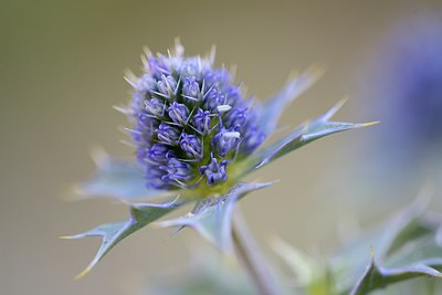BUITEN BEELD Foto: 278408