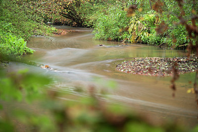 BUITEN BEELD Foto: 278465