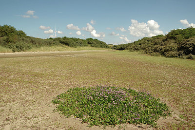BUITEN BEELD Foto: 278515