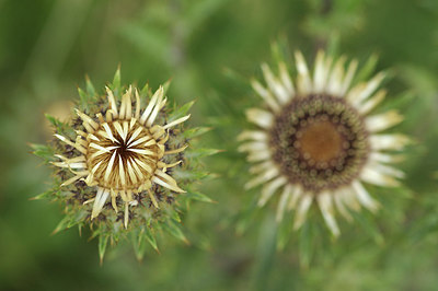 BUITEN BEELD Foto: 278518