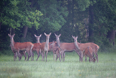 BUITEN BEELD Foto: 278536