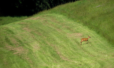 BUITEN BEELD Foto: 278630