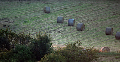 BUITEN BEELD Foto: 278640
