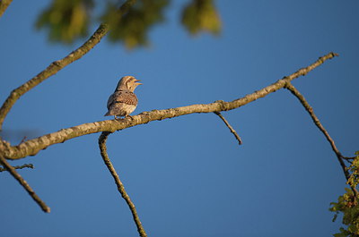 BUITEN BEELD Foto: 278672