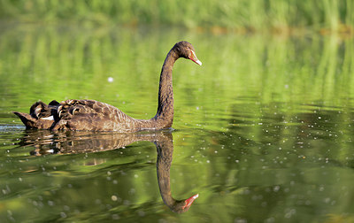 BUITEN BEELD Foto: 278673