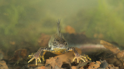BUITEN BEELD Foto: 278716
