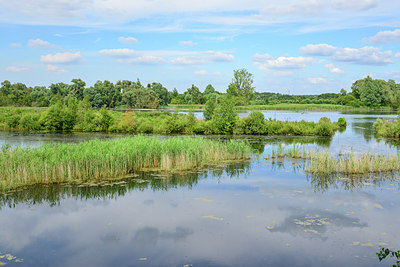 BUITEN BEELD Foto: 278791
