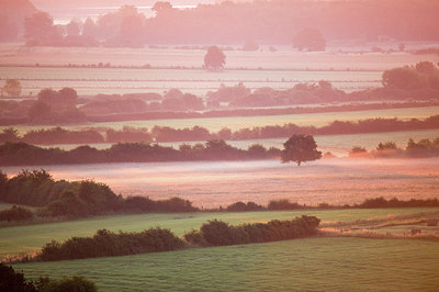 BUITEN BEELD Foto: 278804