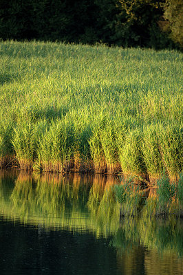 BUITEN BEELD Foto: 278807