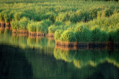 BUITEN BEELD Foto: 278808
