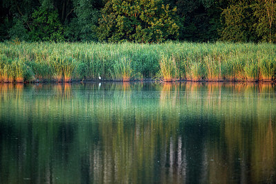 BUITEN BEELD Foto: 278809