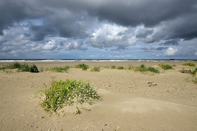 BUITEN BEELD Foto: 278936