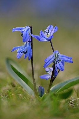BUITEN BEELD Foto: 278955
