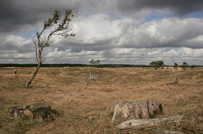 BUITEN BEELD Foto: 27002