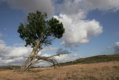 BUITEN BEELD Foto: 27006