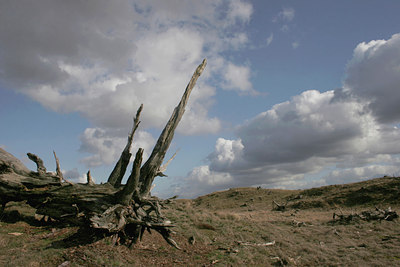 BUITEN BEELD Foto: 27007