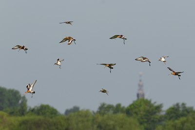 BUITEN BEELD Foto: 27020