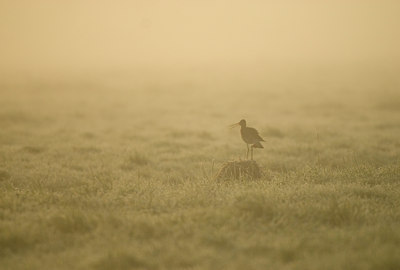 BUITEN BEELD Foto: 27072