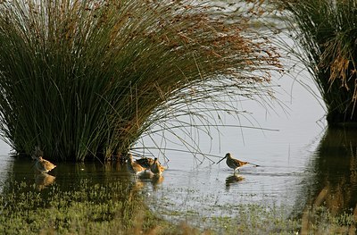 BUITEN BEELD Foto: 27084