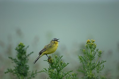 BUITEN BEELD Foto: 27104