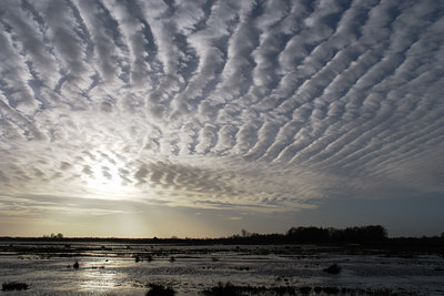 BUITEN BEELD Foto: 27108