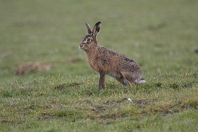 BUITEN BEELD Foto: 27156