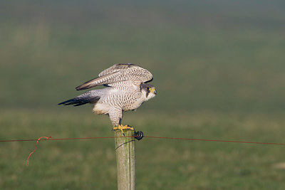 BUITEN BEELD Foto: 27168