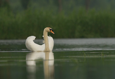 BUITEN BEELD Foto: 27185